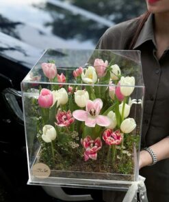 Hộp mica đựng hoa