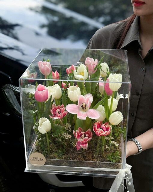 Hộp mica đựng hoa